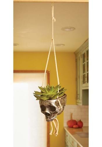 Silver Color Hanging Skull Planter