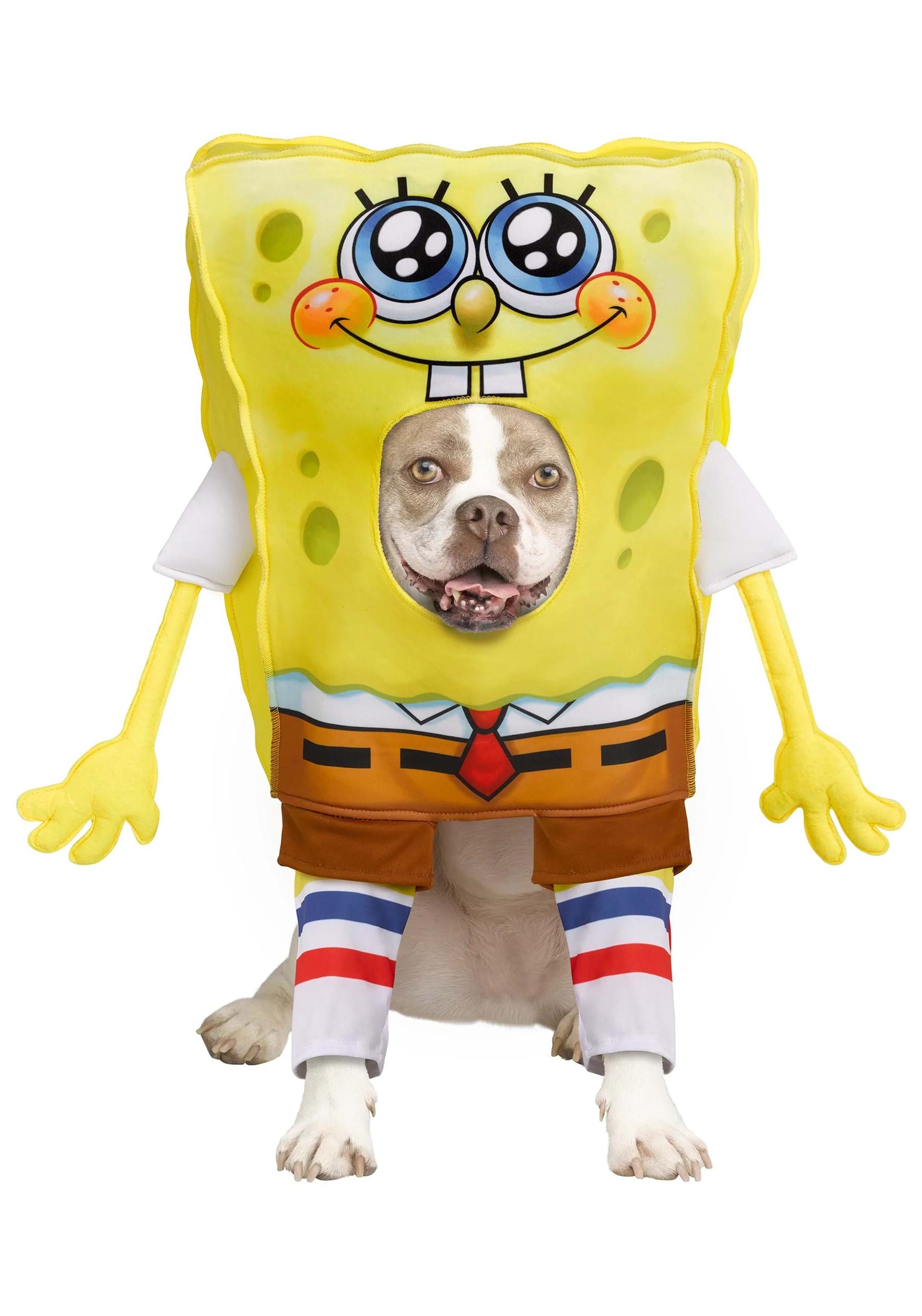 spongebob-squarepants-pet-costume.jpg