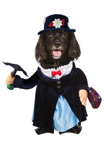 Click Here to buy Pet Mary Poppins Dog Costume from HalloweenCostumes, CDN Funds & Shipping
