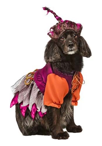 Hocus Pocus Mary Sanderson Pet Costume