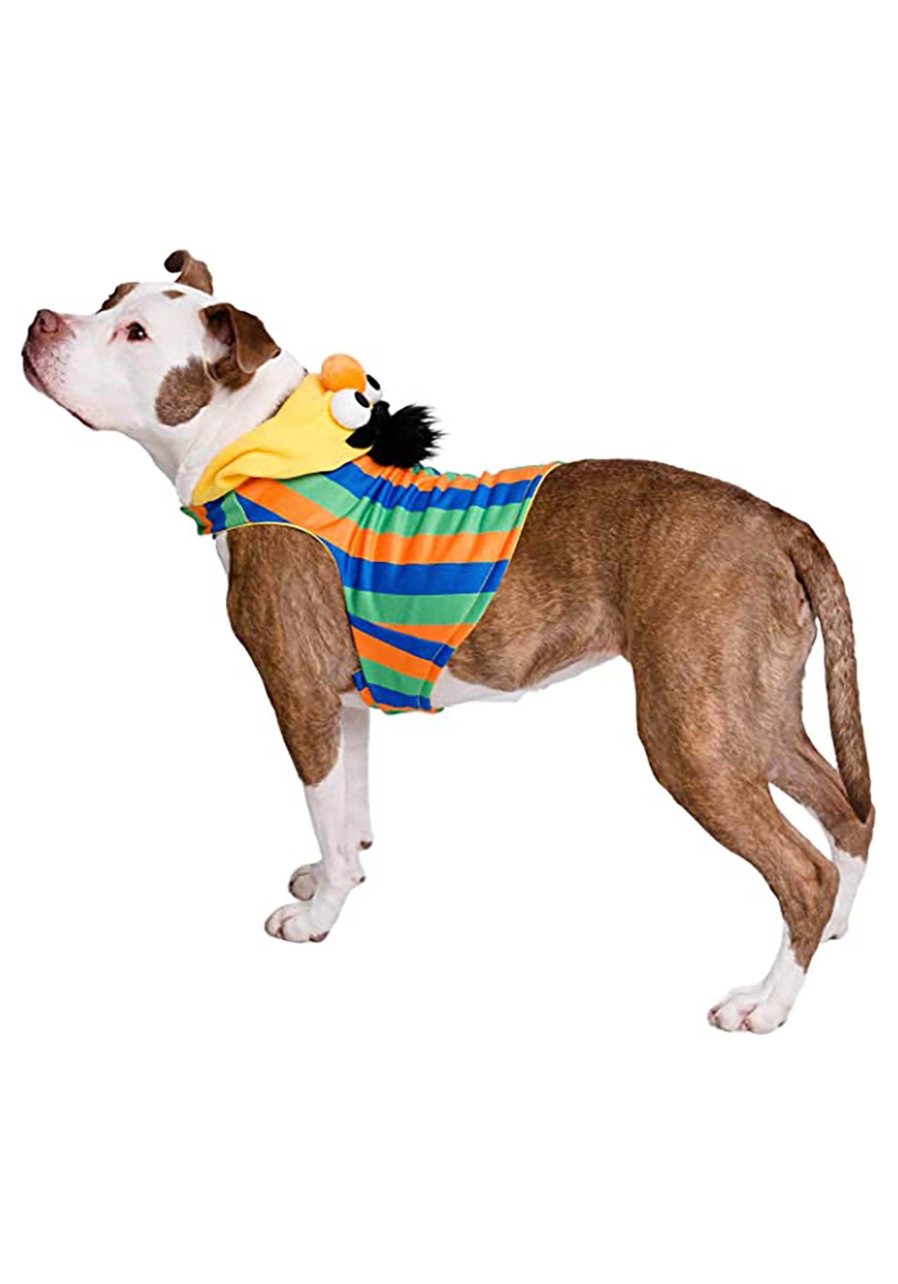 Bert Sesame Street Pet Costume