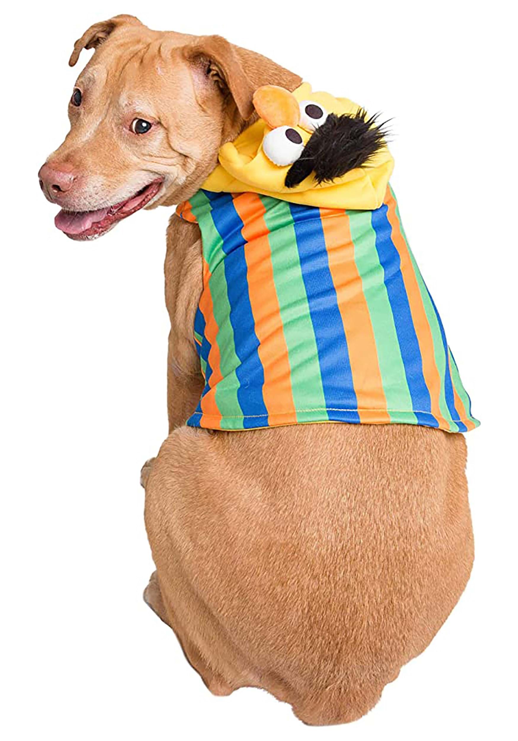 Bert Sesame Street Pet Costume