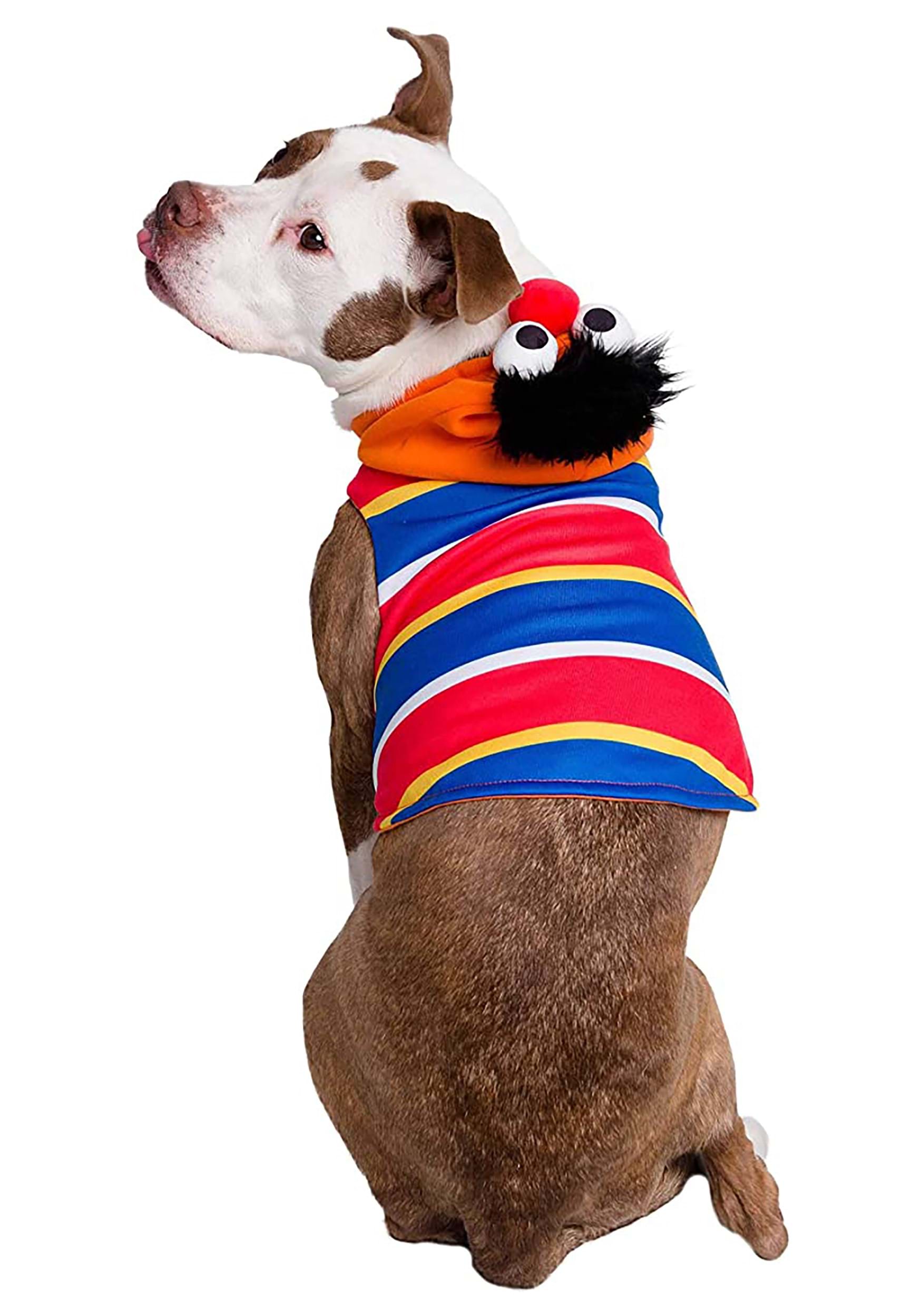 Sesame Street Ernie Dog Costume
