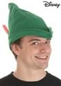 Disney Peter Pan Hat Green