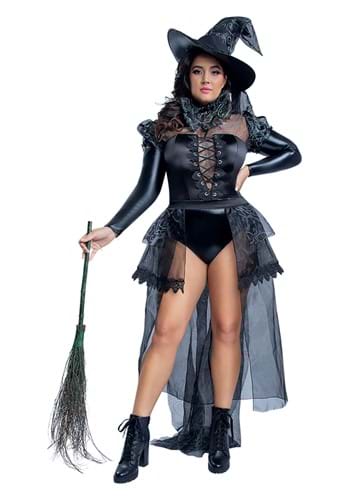 Plus Size Witch Costumes