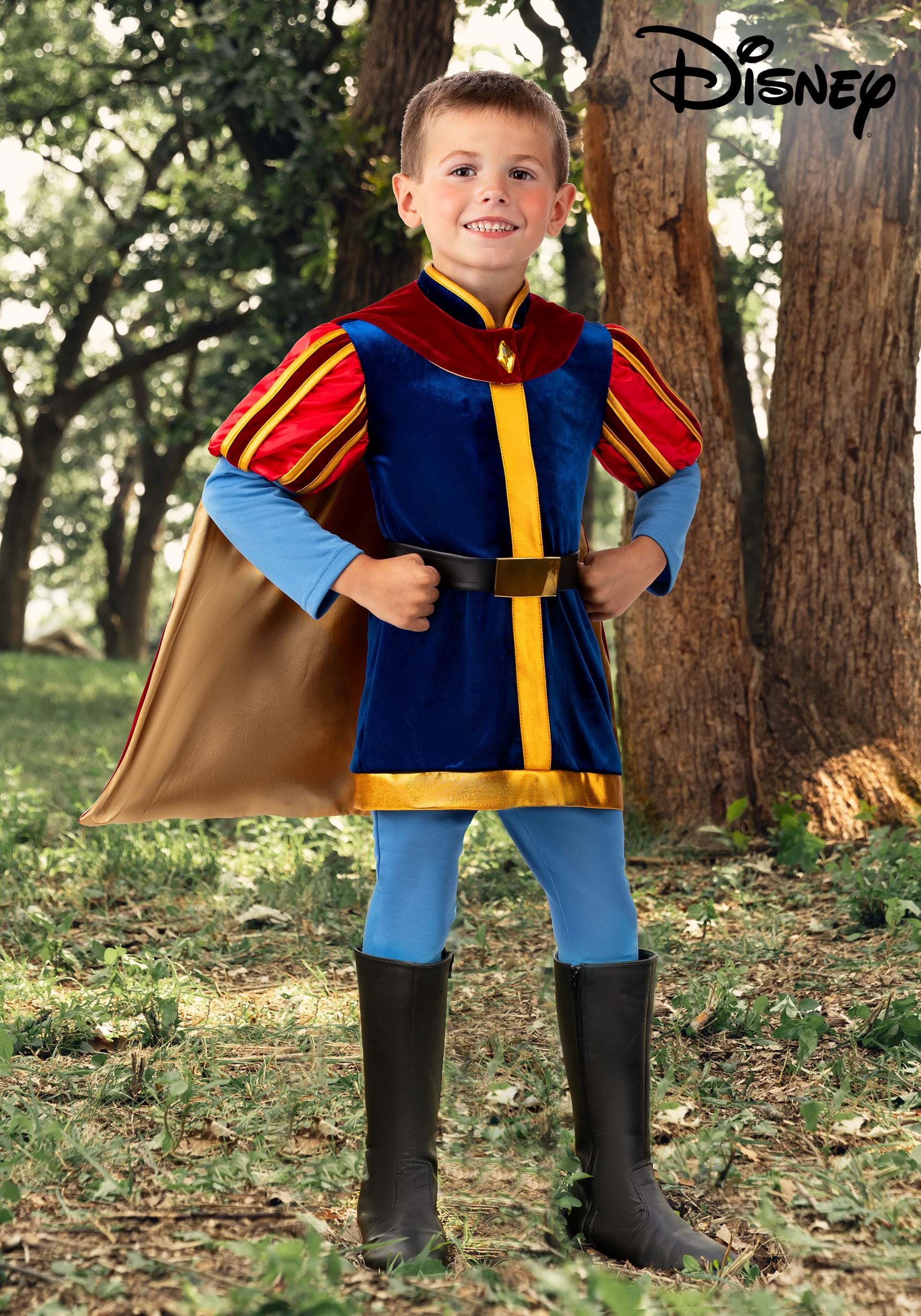 Toddler Disney Sleeping Beauty Prince Phillip Costume for Boys
