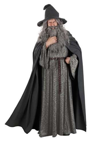 Click Here to buy Mens Plus Size Gandalf Lord of the Rings Costume from HalloweenCostumes, CDN Funds & Shipping