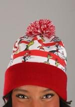 Dr. Seuss Winter Hat and Scarf Kit Alt 3