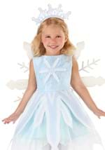 Toddler Shimmering Snowflake Costume