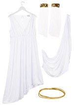 Adult Classic Greek Goddess Costume Alt 4