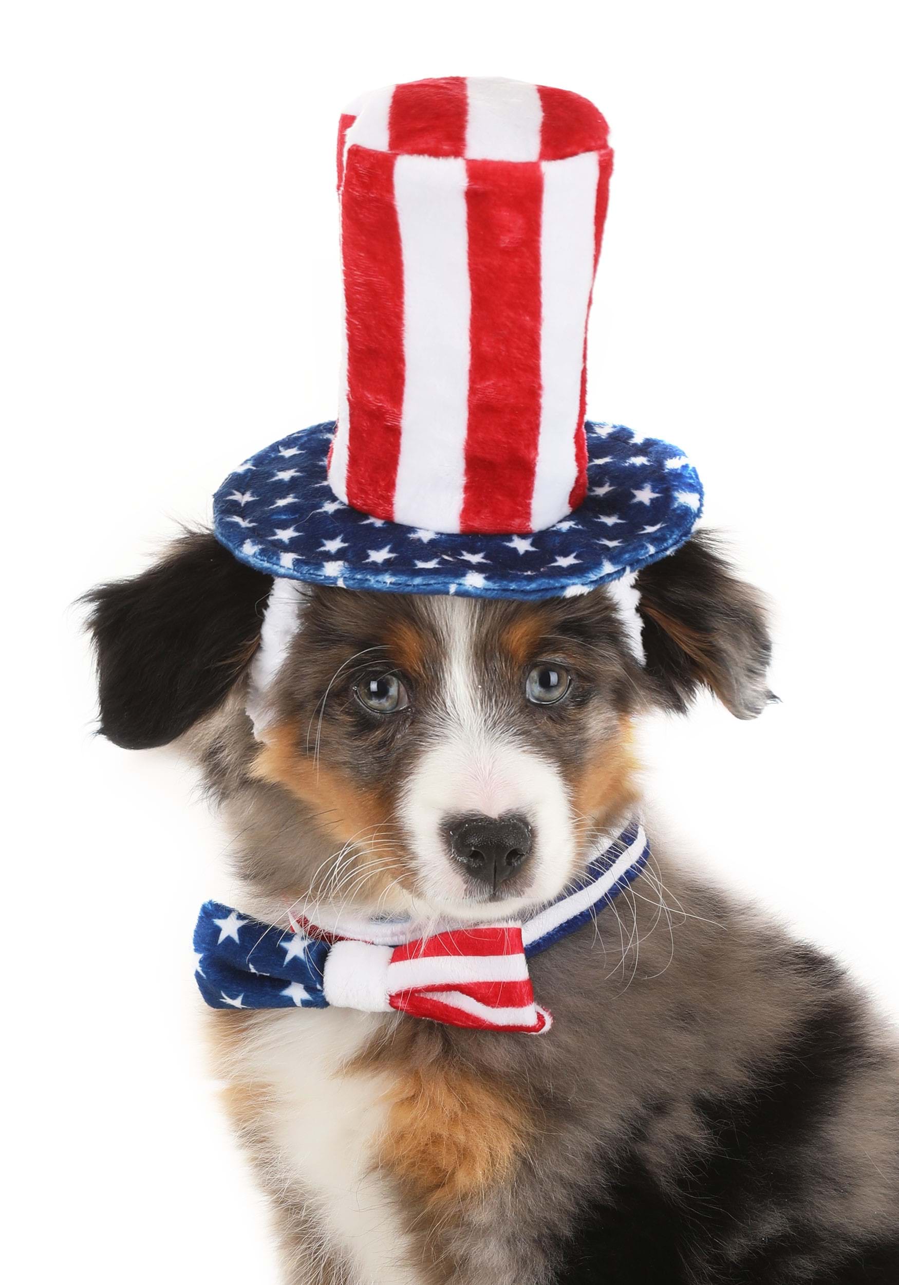 4th Of July Costume Kit For Pets , 4th Of July Costumes