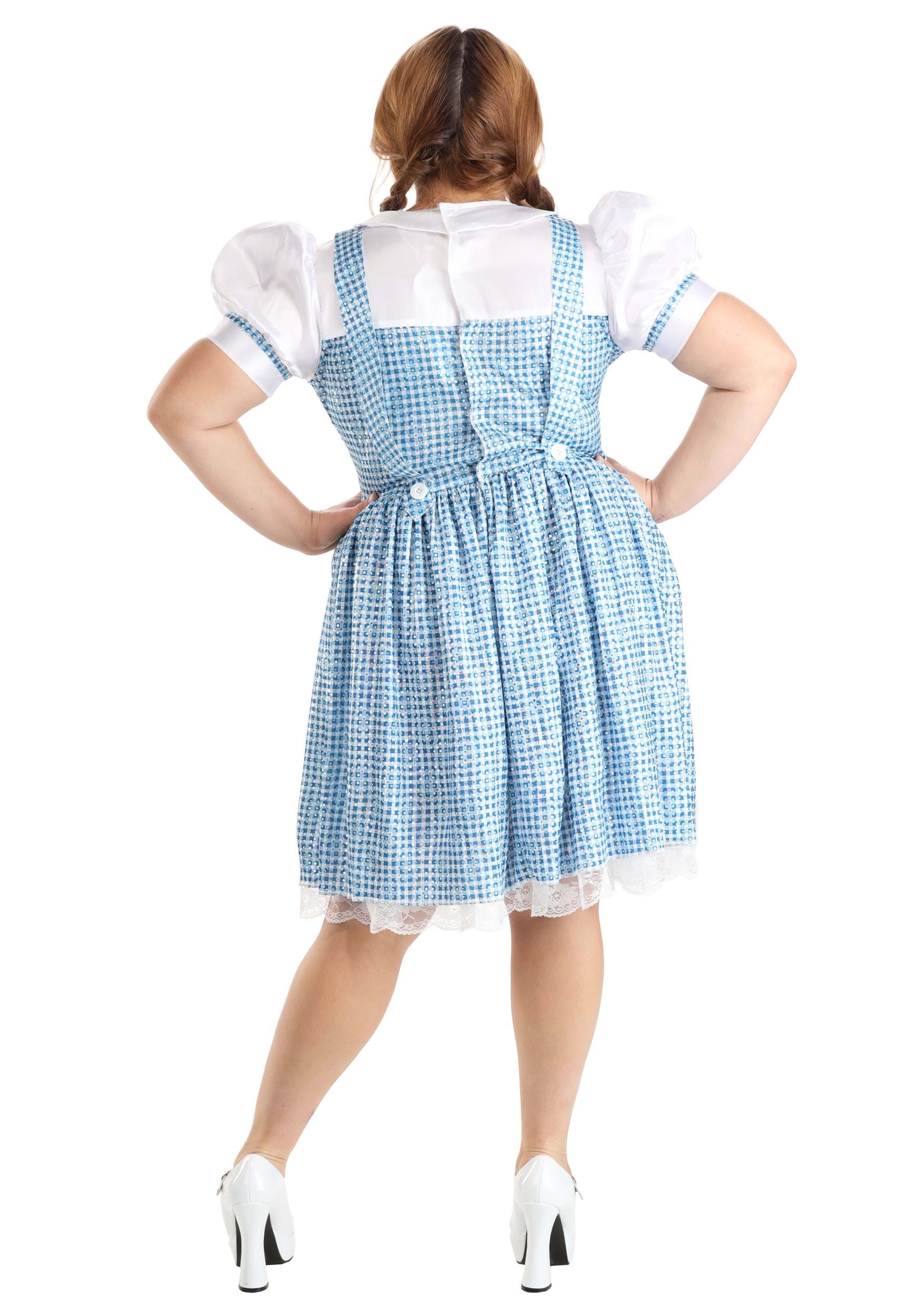 Farm Girl Costume For Women , Dorothy Costumes