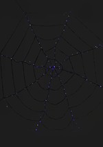 Purple Light-Up Spider Web Decoration Alt 1