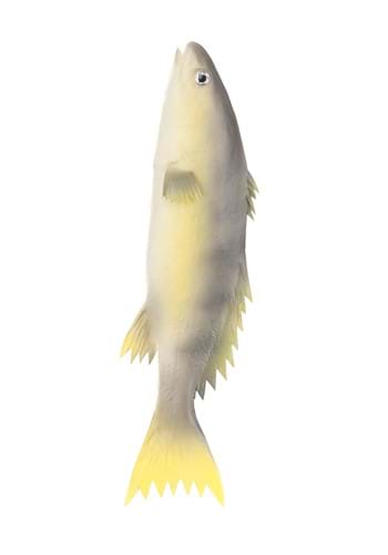 Click Here to buy Trout Rubber Fish Prop Accessory | Fish Accessories from HalloweenCostumes, CDN Funds & Shipping