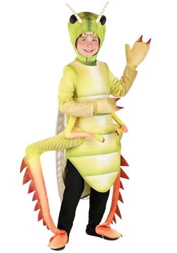 Exclusive Kids Deluxe Grasshopper Costume