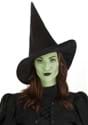 Elphaba Witch Hat Adult