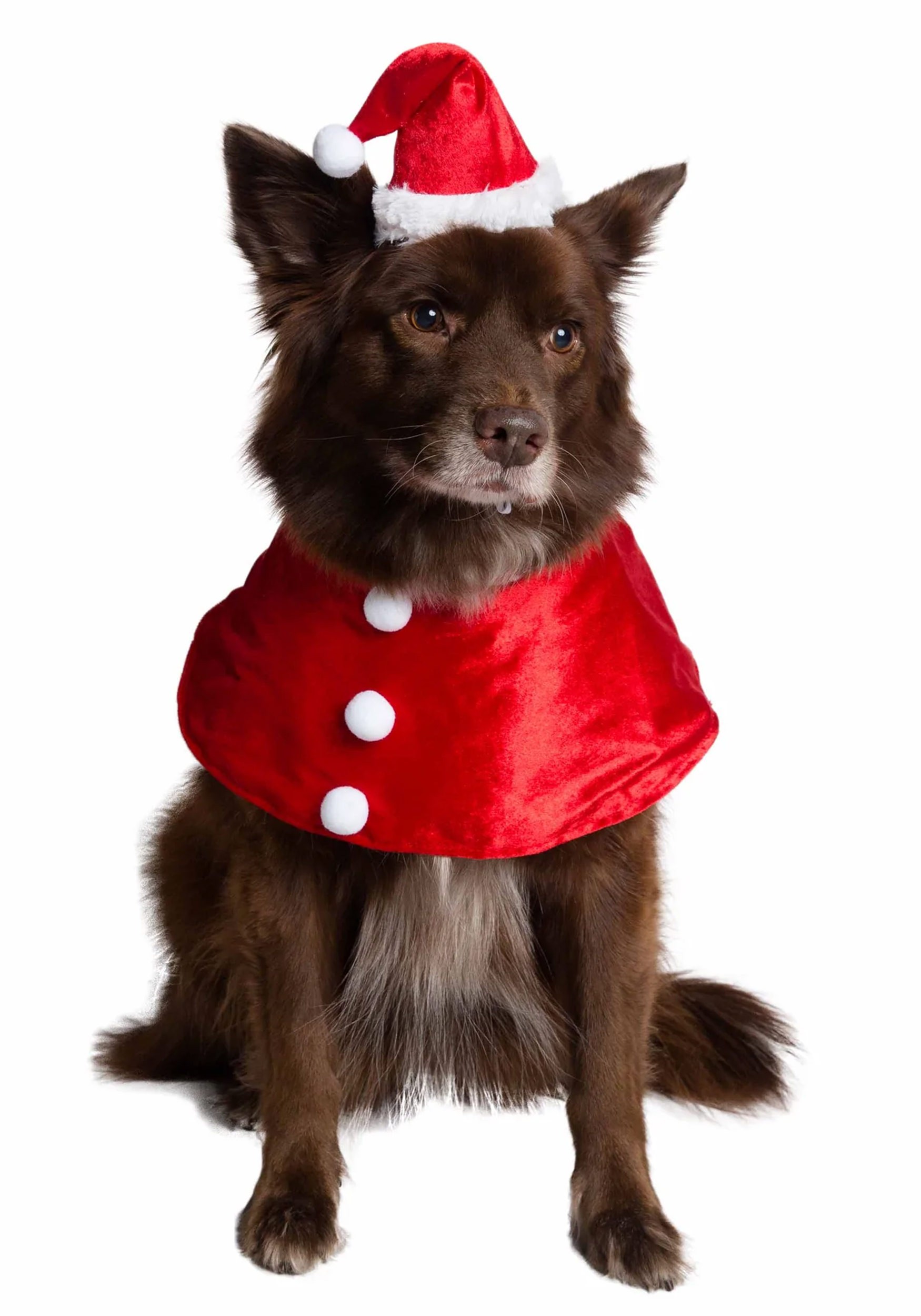 Santa Pet Costume Collar & Hat