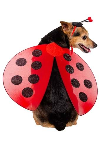 Click Here to buy Ladybug Pet Costume from HalloweenCostumes, CDN Funds & Shipping
