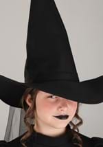 Wizard of Oz Toddler Wicked Witch Costume Alt 1