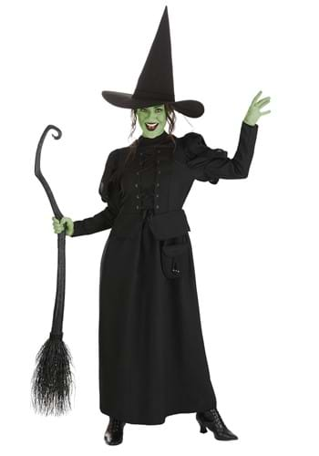 Plus Size Hocus Pocus Mary Sanderson Women's Costume