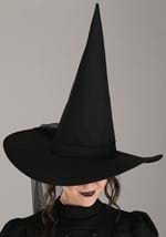 Wizard of Oz Adult Wicked Witch Costume Alt 2