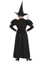 Wizard of Oz Adult Wicked Witch Costume Alt 1