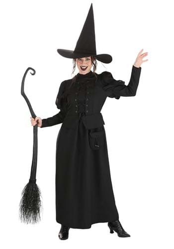 Click Here to buy Wizard of Oz Wicked Witch Womens Costume from HalloweenCostumes, CDN Funds & Shipping