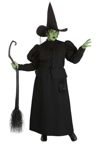 Plus Size Wizard Of Oz Wicked Witch Costume For Women