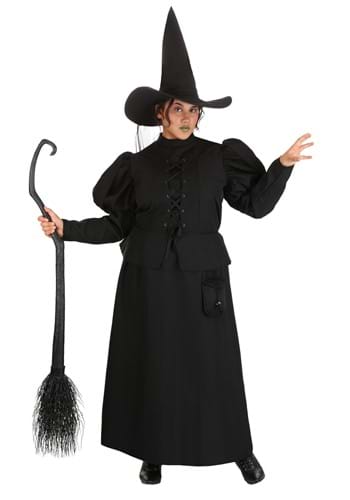 Click Here to buy Plus Size Wizard of Oz Wicked Witch Womens Costume from HalloweenCostumes, CDN Funds & Shipping