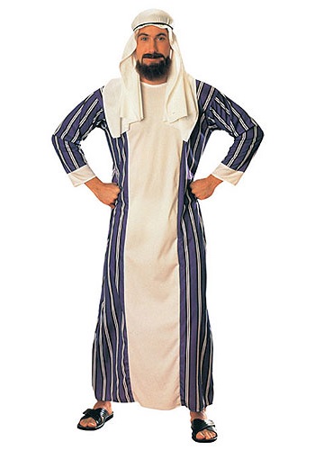 Tigerdoe Arabian Prince Costume – Street Rat Costumes for Men –Men's  Arabian Folk Hero Costume - Magic Genie Lamp, Purple Vest and Hat