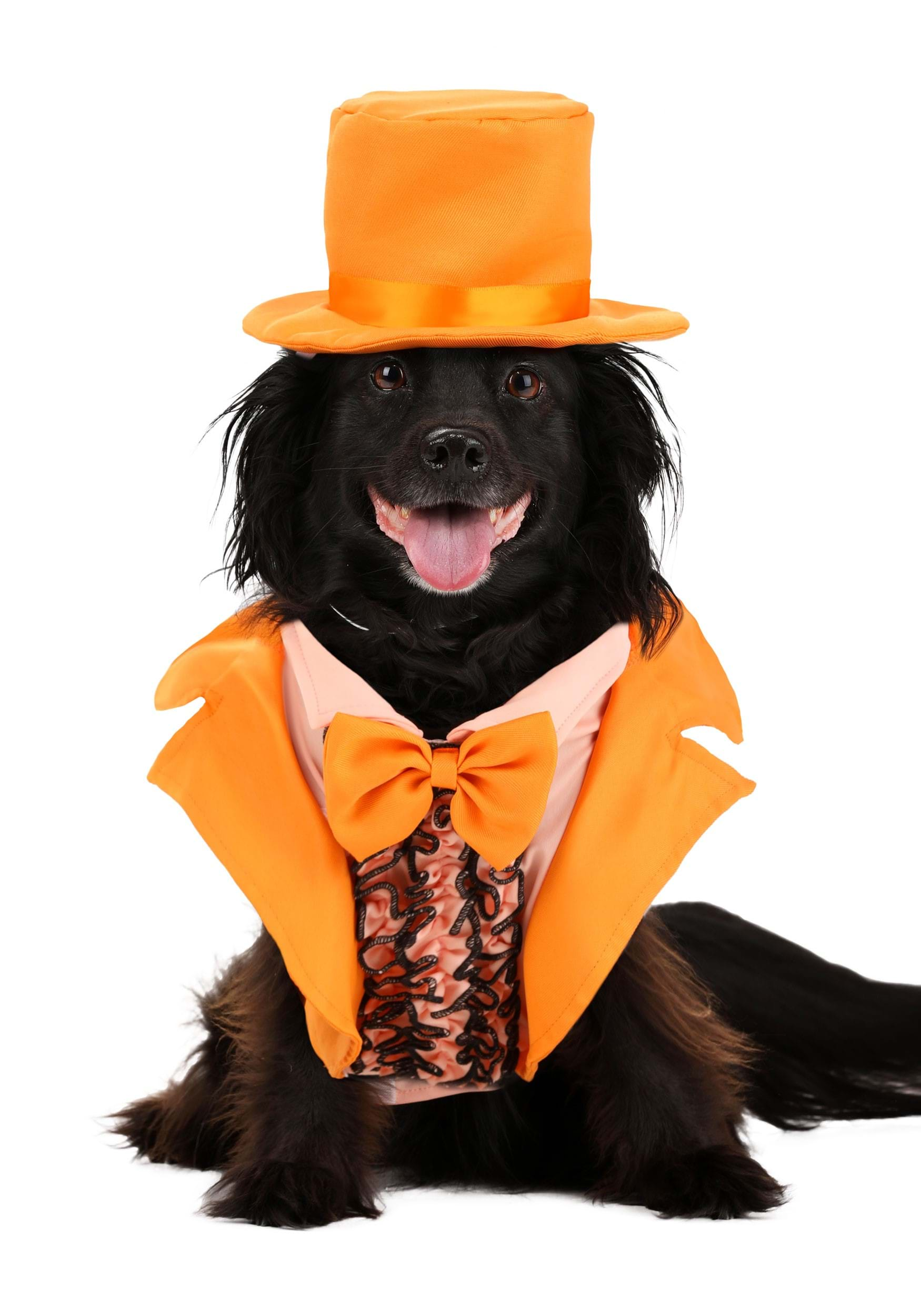 Iconic Pet Orange Tuxedo Costume | Movie Pet Costumes