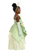 Toddler Disney Tiana Costume Alt 6