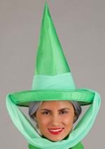 Adult Disney Fauna Sleeping Beauty Costume Alt 4