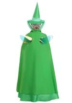 Adult Disney Fauna Sleeping Beauty Costume Alt 9