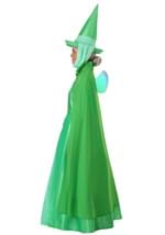 Adult Disney Fauna Sleeping Beauty Costume Alt 10