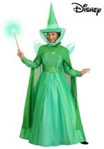 Adult Disney Fauna Sleeping Beauty Costume Alt 11