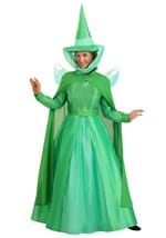 Adult Disney Fauna Sleeping Beauty Costume Alt 12