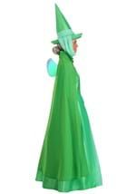 Adult Disney Fauna Sleeping Beauty Costume Alt 13