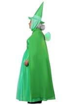 Plus Size Disney Fauna Sleeping Beauty Costume Alt 9