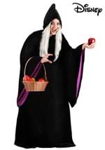 Adult Disney Snow White Witch Costume