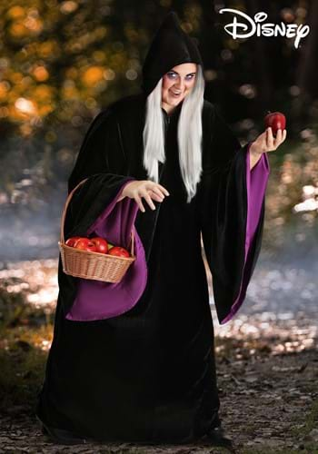 Plus Size Disney Snow White Witch Costume