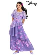 Adult Disney Isabella Encanto Costume