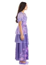 Adult Disney Isabella Encanto Costume Alt 3