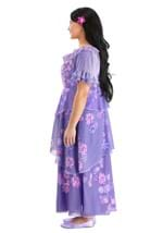 Plus Size Disney Isabella Encanto Costume Alt 2