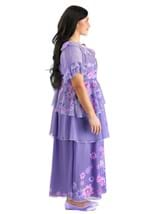 Plus Size Disney Isabella Encanto Costume Alt 3