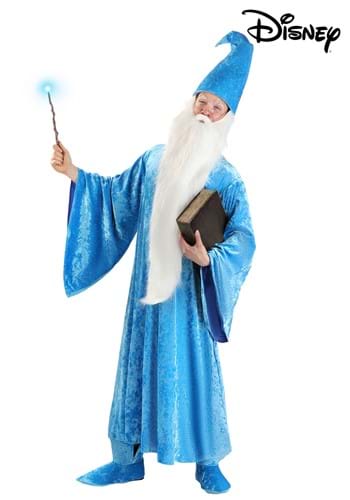 Adult Disney Merlin Costume