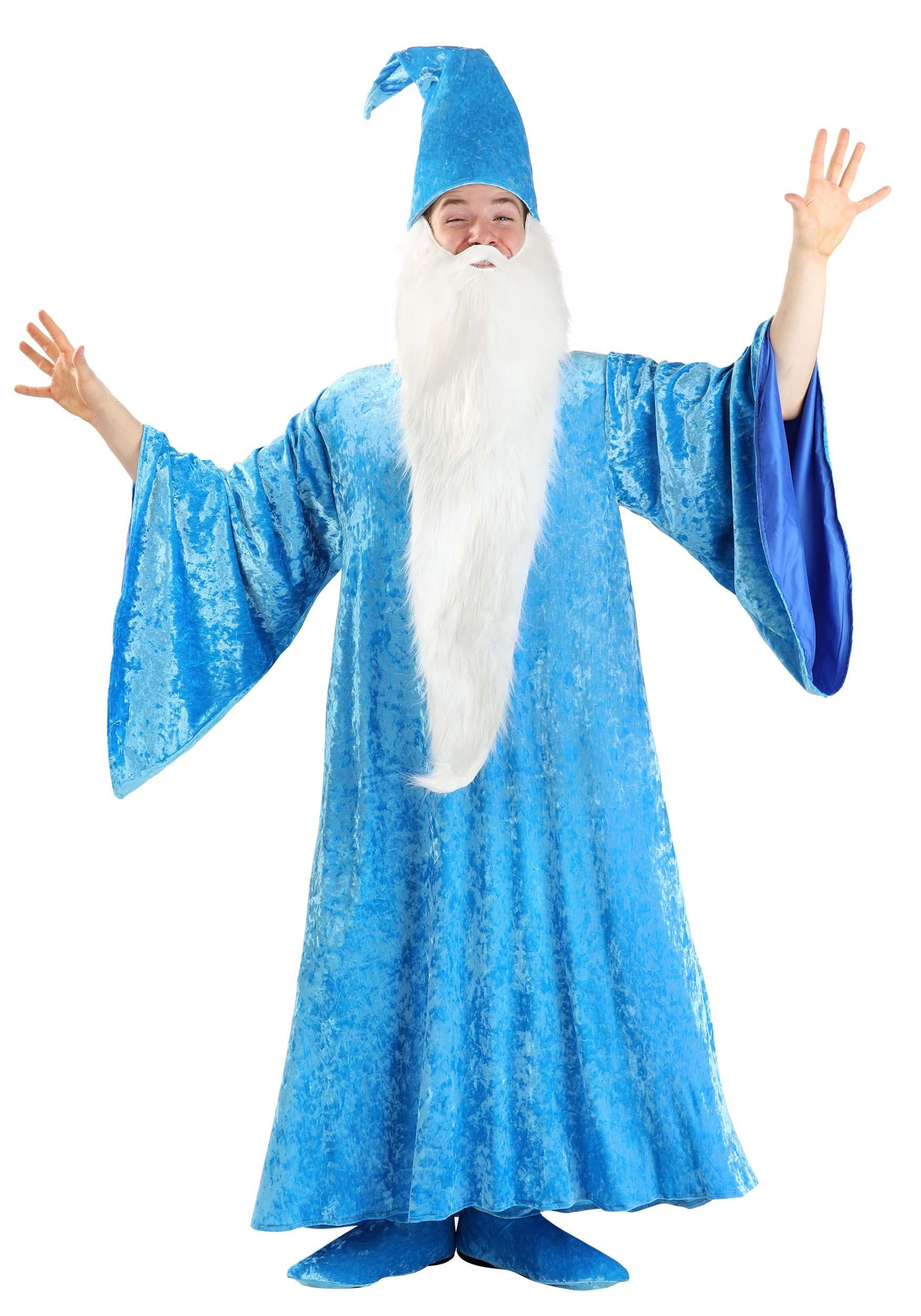 Adult Disney The Sword In The Stone Merlin Costume , Disney Costumes