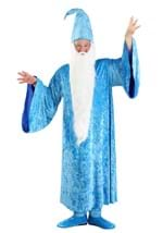 Plus Size Disney Merlin Costume Alt 8