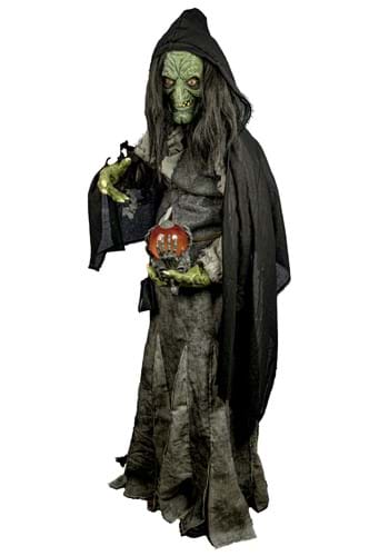 Adult Premium Evil Green Witch Costume | Scary Witch Costumes