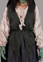 Adult Premium Witch Costume Alt 2